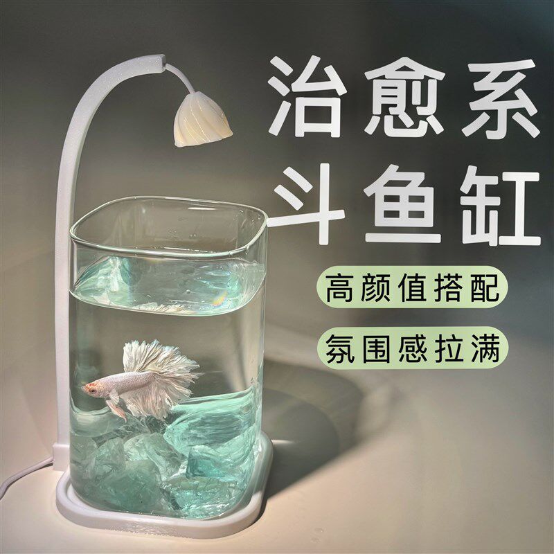 曼尾纱泰国斗鱼观赏鱼专用鱼缸小型玻璃客厅桌面造景摆件创意夜灯