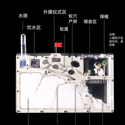 蚂蚁城堡 生态箱蚁村宠物蚂蚁工坊部落家园王国宫殿别墅沙子蚁巢