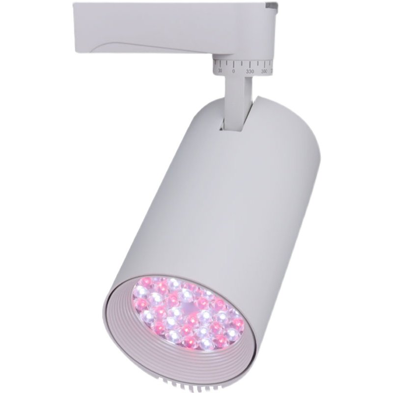 猪肉灯LED生鲜轨道射灯卤菜卤肉熟食专用蔬菜水果海鲜超市导轨灯,家装灯饰光源,生鲜灯,淘宝优惠券,粉丝福利购,淘宝优惠卷