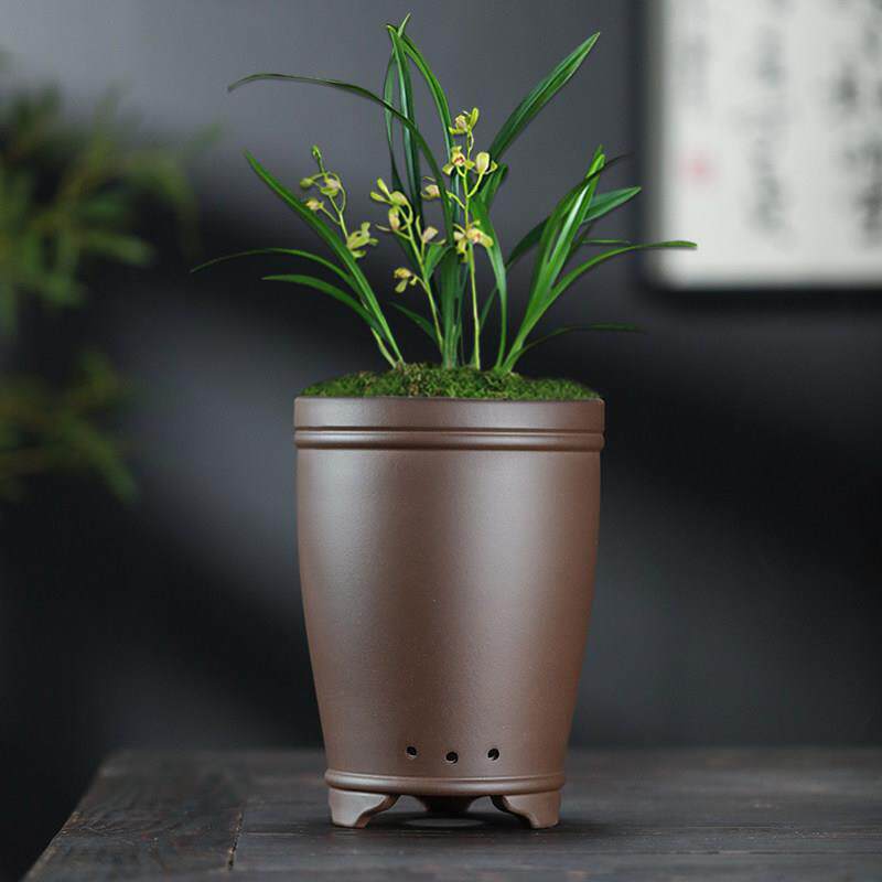 紫砂兰花盆专用矮种兰花盆春兰建兰蕙兰墨兰虎皮兰花盆精品陶瓷盆