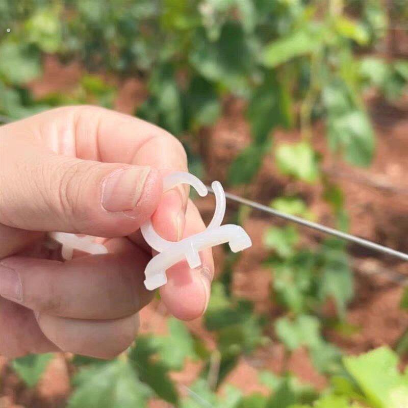 新型定位卡扣葡萄绑枝卡扣猕猴桃绑蔓卡耐用省力固定卡子价格可谈