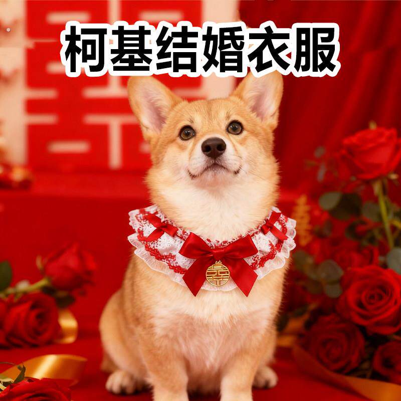 柯基结婚衣服中小型犬专用小狗幼犬陪嫁狗宠物喜庆衣服宠物用品
