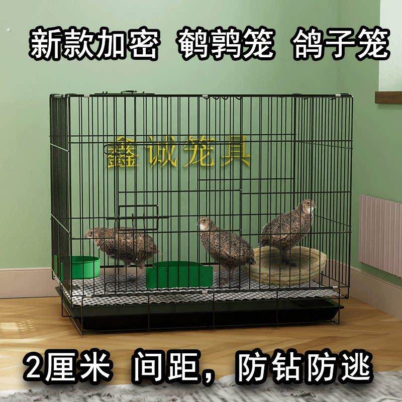 新型鸽子笼养殖笼配对笼繁殖加密小鸡笼子家用室内大号鹌鹑专用笼