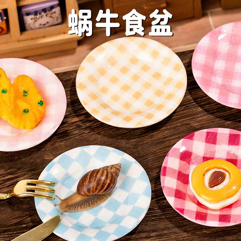蜗牛食盆水盆爬宠爬虫白玉蜗牛迷你碗吃饭专用造景宠物用品大全