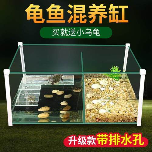 龟鱼缸一体混养网红乌龟缸鱼缸混合养乌龟黄缘专用水陆两栖二合一