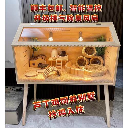 芦丁鸡饲养箱造景别墅笼子木屋宠物养殖育雏鸡窝全套卢丁鸡恒温箱