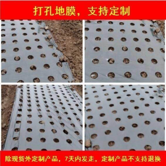 打孔地膜农用种植防草菜地玉米地钻孔带孔薄膜黑膜银黑地膜免打孔