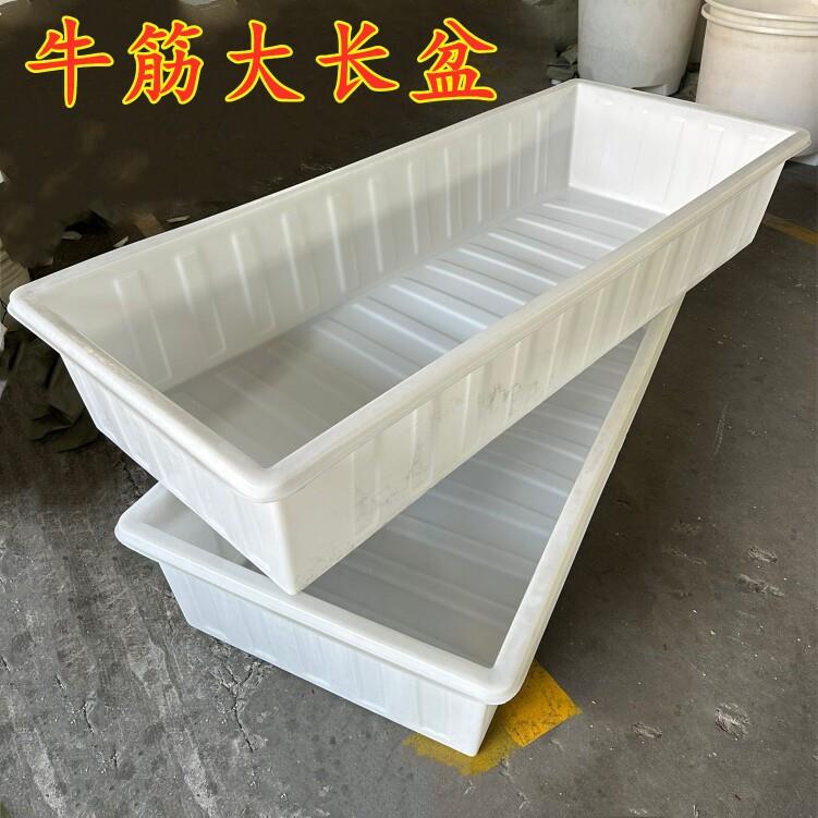 塑料浅水方盆大号加厚熟食盆牛筋育苗盆养鱼洗菜盆养殖水槽洗澡盆