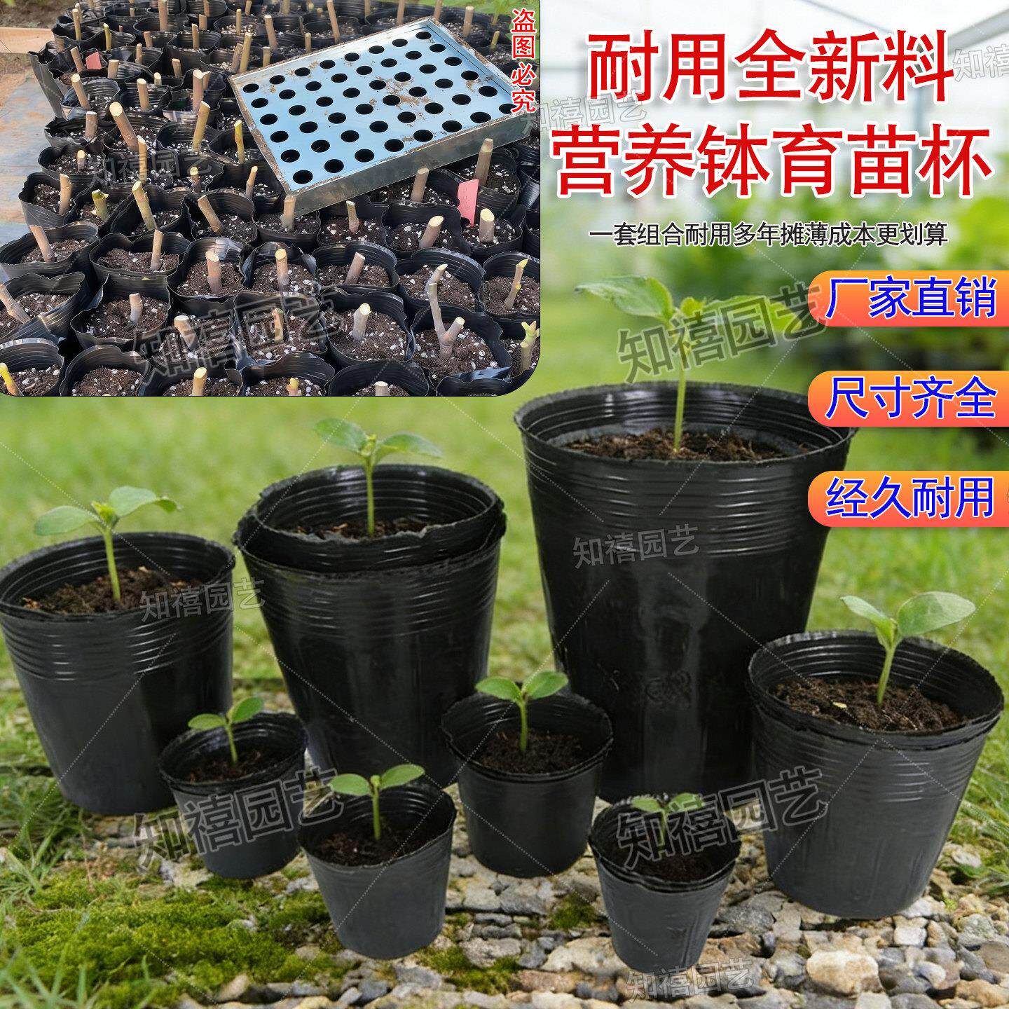 营养钵育苗杯种植袋一次性塑料杯脐橙柑橘苗育苗杯农用天麻种植桶