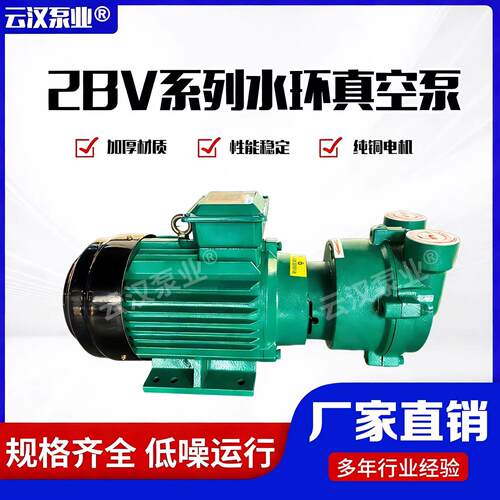 2BV系列水环真空泵2060/2061/5121/5131大功率抽气泵水循环真空泵