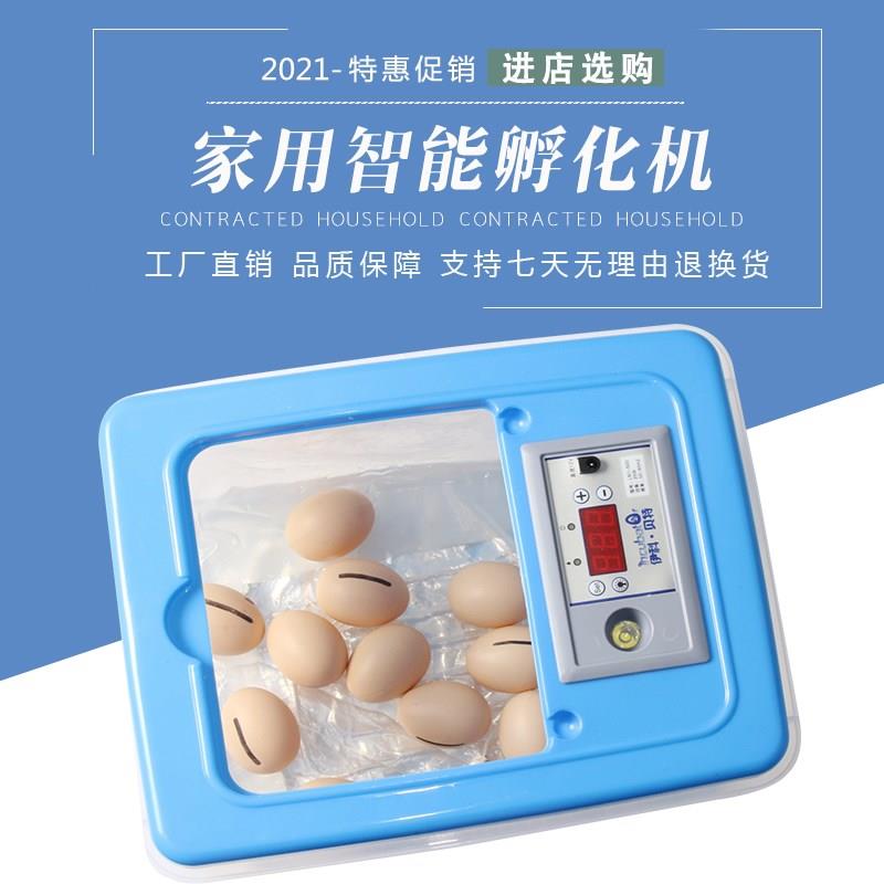 家用小型孵蛋器 双电源鸡鸭鹅鹌鹌孵化箱 32枚塑料水床孵化机