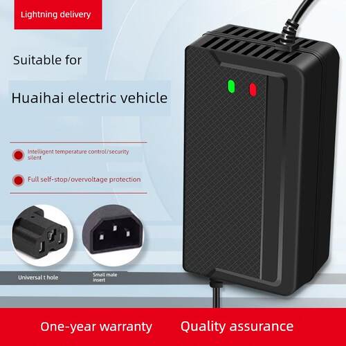 适用于淮海电动汽车电池充电器48V12Ah60V20Ah72V30A新新龙正品原