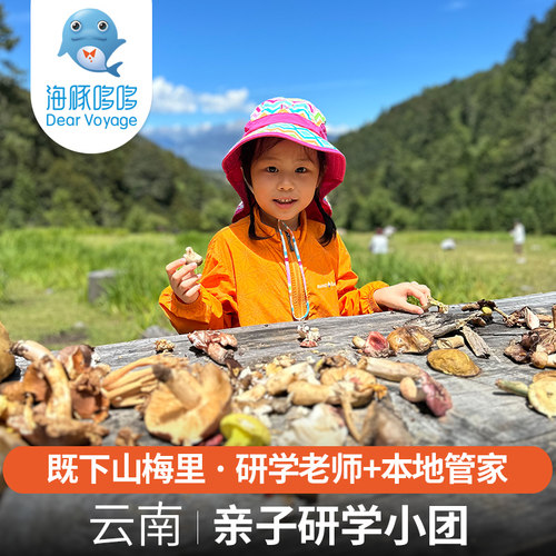 暑假亲子研学小团 云南旅游私人定制 既下山梅里雪山酒店滇金丝猴