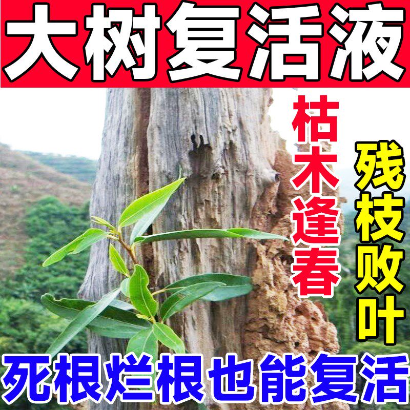 强力生根剂大小果树木移栽种植快速生根复活营养液速效发根壮苗剂