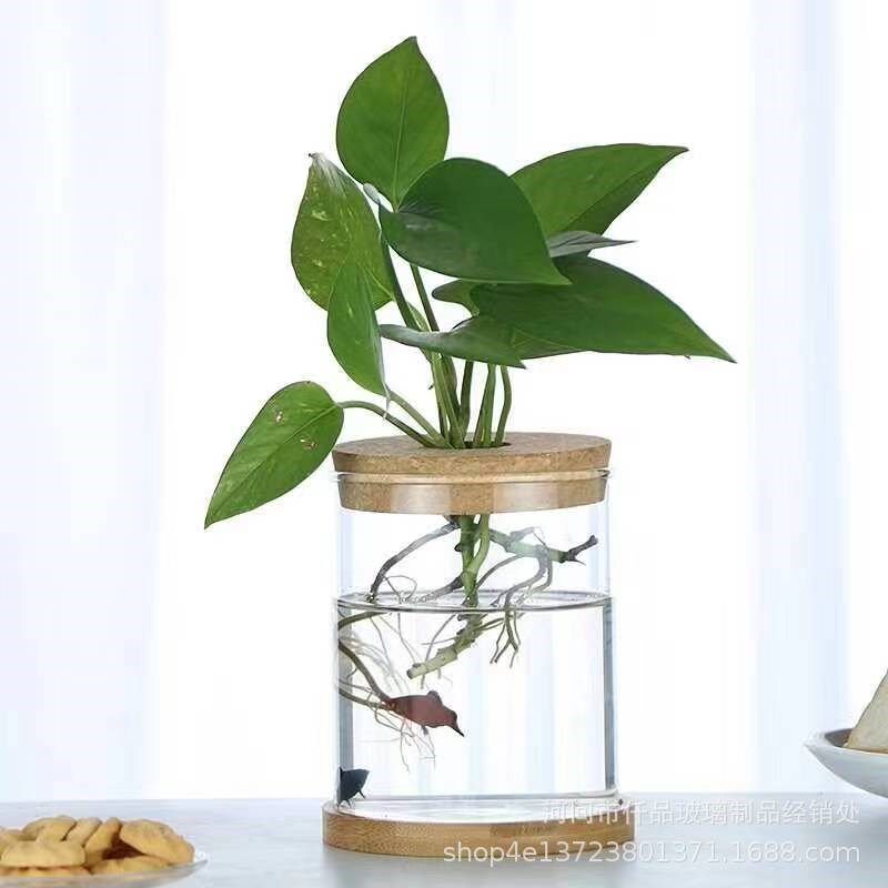 透明玻璃花瓶绿萝水培玻璃瓶客厅创意小清新桌面摆件装饰花盆