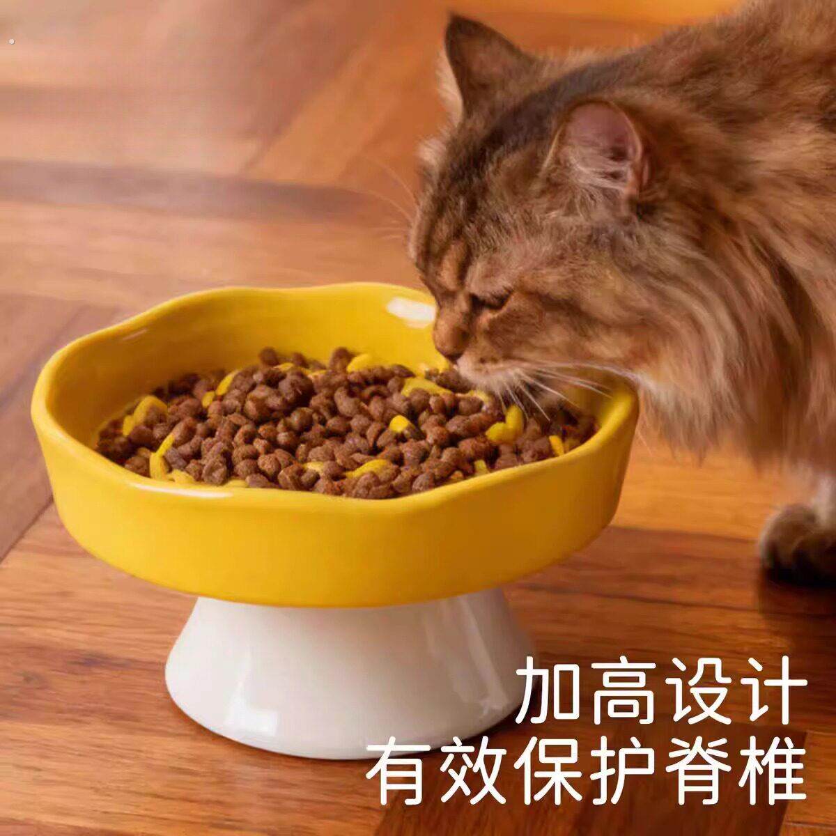 宠物陶瓷慢食碗猫咪增高猫碗狗食盆狗狗吃饭喝水狗盆防噎防打翻猫