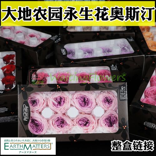 等花来大地农园03830/02460diy材料包礼盒高品质永生花奥斯汀玫瑰