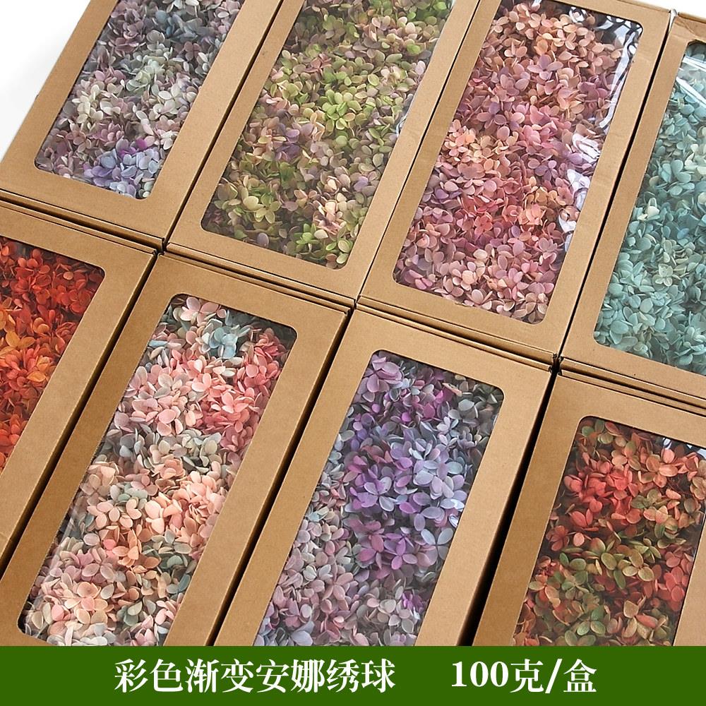 彩色安娜木绣球永生花永生玫瑰花礼盒花材保鲜花婚庆礼品装饰材料