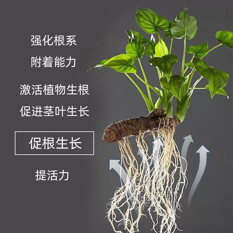 快速生根液强力壮苗生根剂多肉生根粉绿扦插移栽花卉树木植物通用,鲜花速递/花卉仿真/绿植园艺,家庭园艺肥料,淘宝优惠券,粉丝福利购,淘宝优惠卷