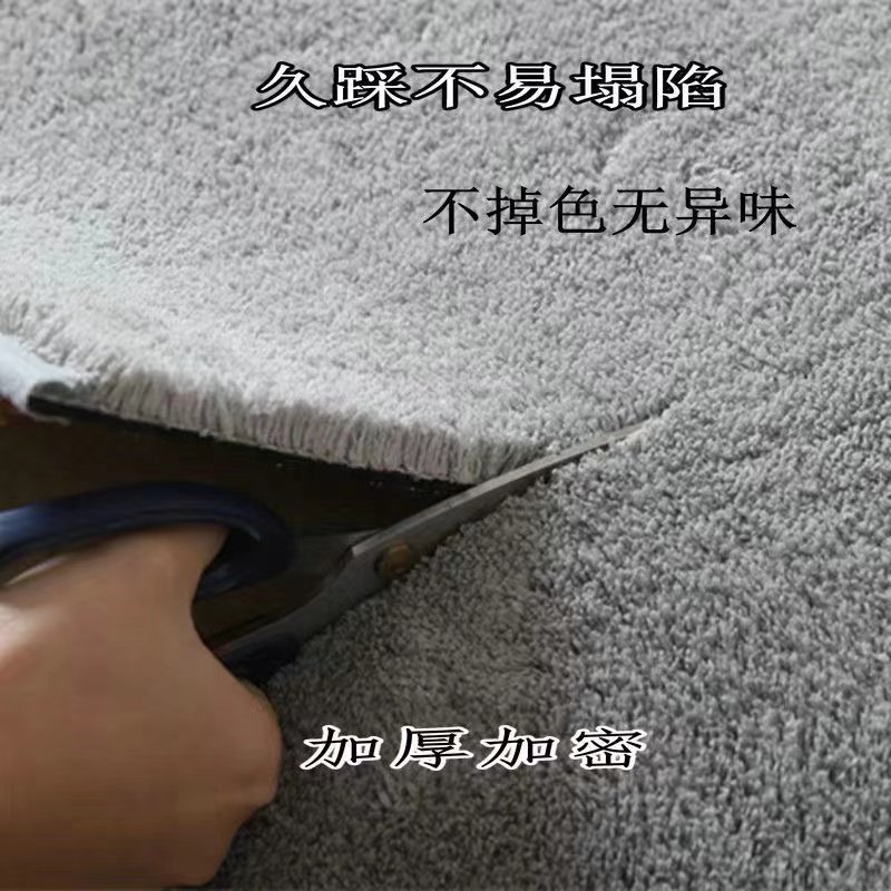 地毯客厅茶几毯简约家用满铺大面积毛毯长方形地垫卧室地毯床边毯,居家布艺,地毯,淘宝优惠券,粉丝福利购,淘宝优惠卷