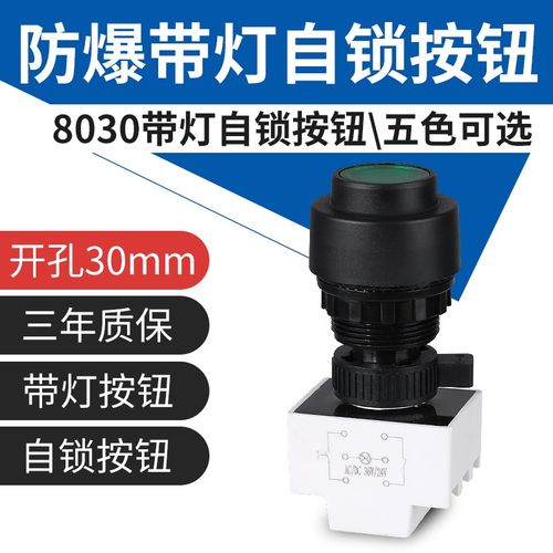 YH8030防爆自锁按钮塑料防腐带指示灯exd开孔30mm控制启停开关ct6