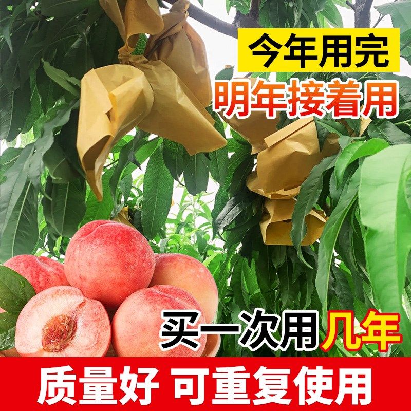 桃子套袋专用袋水蜜桃冬桃蟠桃黄桃专用网袋防虫防鸟水果树纸袋子,鲜花速递/花卉仿真/绿植园艺,其它园艺用品,淘宝优惠券,粉丝福利购,淘宝优惠卷