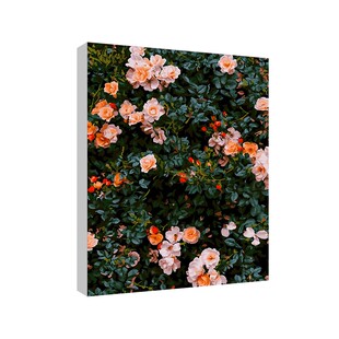 数字油画diy客厅装饰手绘解压挂画手工礼物大尺寸填充涂色油彩画