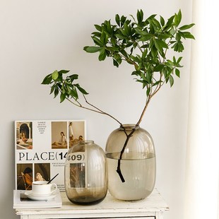 高级感花瓶摆件玻璃水培吊钟雪柳马醉木水养插花鲜花客厅落地装饰