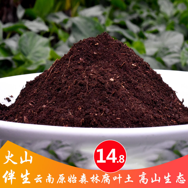 直播养花通用营养土兰花多肉专用腐殖腐叶土绿植物盆栽种植颗粒土,鲜花速递/花卉仿真/绿植园艺,介质/营养土,淘宝优惠券,粉丝福利购,淘宝优惠卷