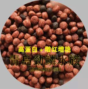 马团长鱼粮,龙鱼鹦鹉罗汉高蛋白+增红增艳鱼粮饲料七好