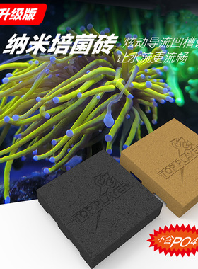 顶玩家神砖滤材海水珊瑚缸纳米培菌砖培养硝化菌分解NH降低NO2NO3