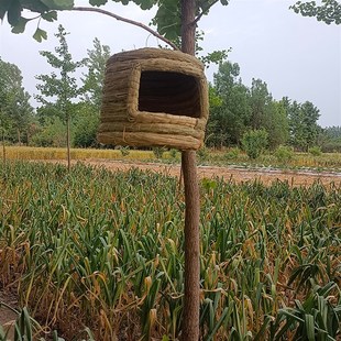 稻草编燕子鸟窝鸟巢城堡形草窝孵化屋檐居住过冬保暖大号用品用具