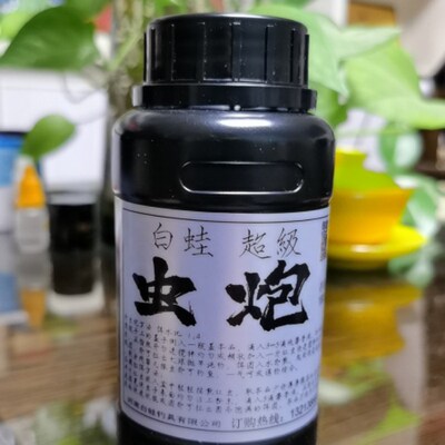 红虫伴侣白蛙虫炮拉饵休闲野钓黑坑爆护池塘江湖泊水库通杀