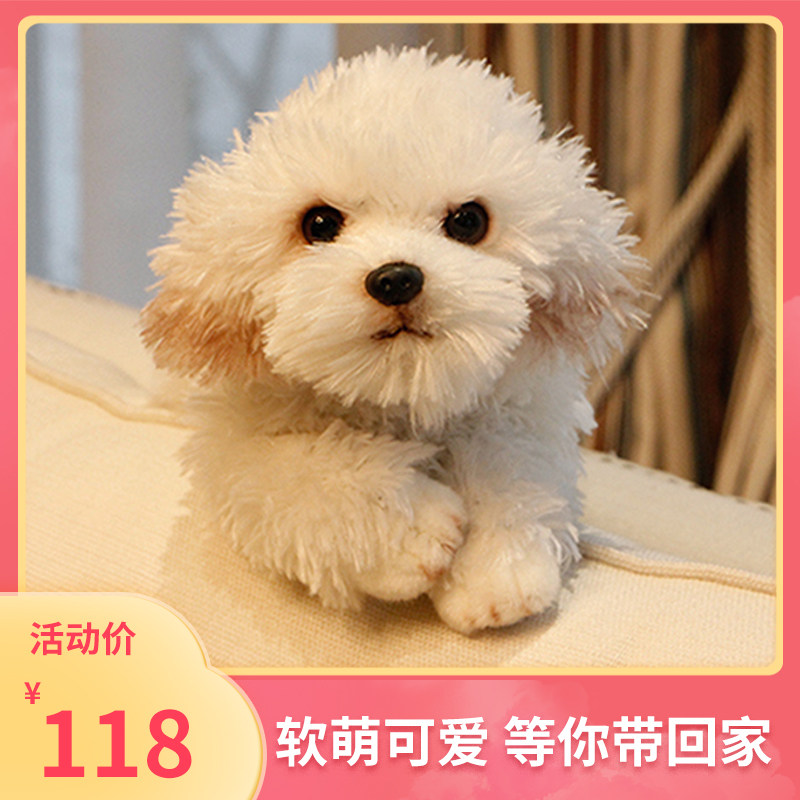 大号布娃娃毛绒玩具汽车内饰玩具玩偶趴趴狗公仔可爱女生睡觉抱枕