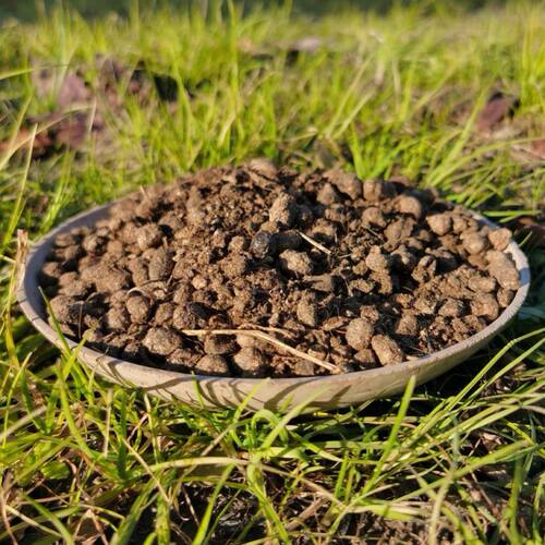 羊粪蛋腐熟羊粪天然发酵无臭味无异味花卉蔬菜通用花肥羊粪肥料