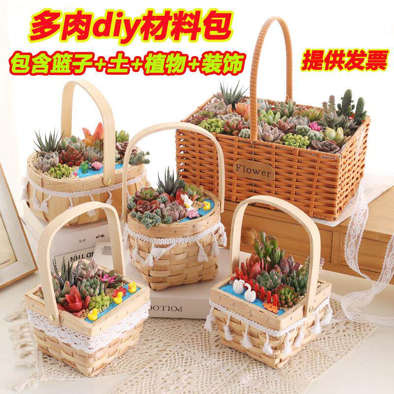多肉diy花篮多肉植物材料包微景观套餐公司活动采购暖场活动礼品H