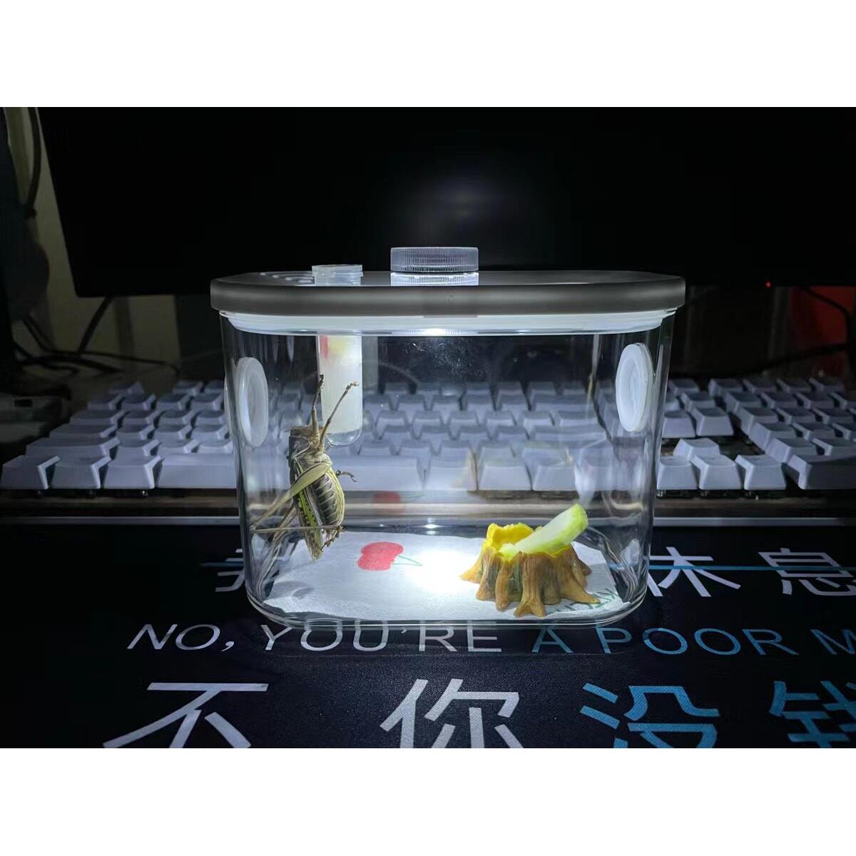 昆虫饲养盒蝈蝈饲养盒蝈蝈笼子昆虫观察盒 鸣虫生态盒竹蛉带加湿