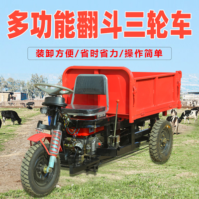 建筑工程工地柴油三轮车混泥土拉砖农用养殖拉货翻斗车爬坡载重王