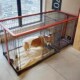 狗笼子带厕所柴犬博美小型大型犬特大号宠物室内围栏栅栏猫笼通用