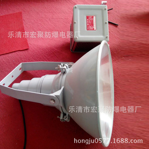 SW7500防振投光灯 ZY8310抗震型投光灯 ZY8300超强抗震EBF304(B)
