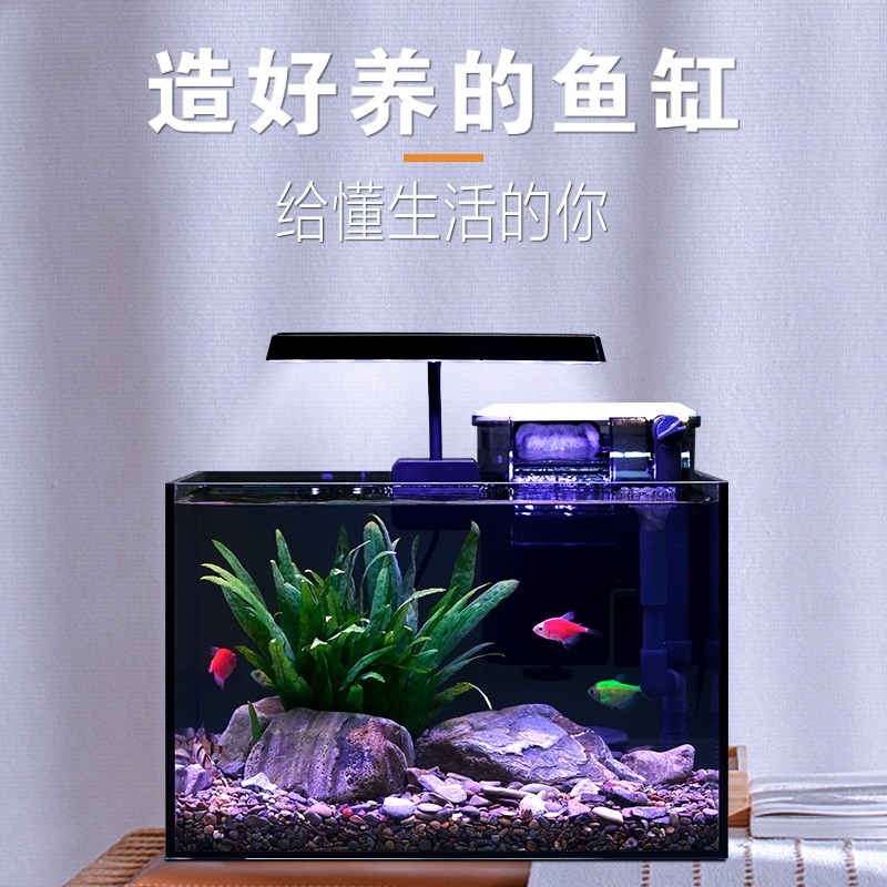 鱼缸客厅小型2023新款超白玻璃生态小鱼缸懒人桌面原生缸金鱼缸