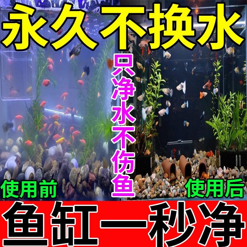 鱼缸水净化剂特清一滴清水质清澈剂专用硝化细菌养鱼不伤鱼水立清,宠物/宠物食品及用品,鱼缸净水剂,淘宝优惠券,粉丝福利购,淘宝优惠卷