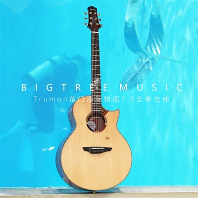 大树音乐屋 3.0升级款楚门海豚物语/夏至 41寸全单民谣木吉他电箱