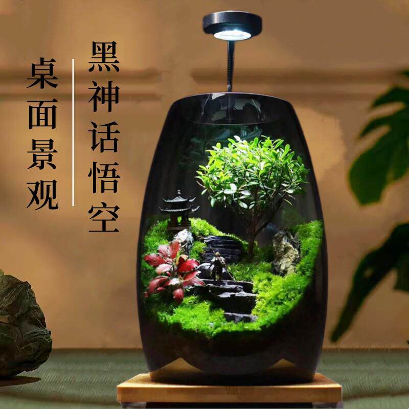 苔藓微景观生态瓶桌面造景植物创意迷你小摆件玻璃可养辣椒蟹鱼缸