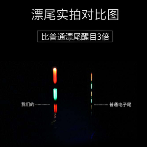齐手夜光漂超亮无影电子漂加粗醒目鱼漂高灵敏日夜两用鲢鳙浮漂