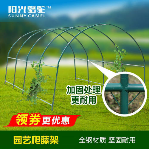 爬藤架阳台楼顶庭院花园支架花卉蔬菜攀爬豆角黄瓜架大棚骨架钢管