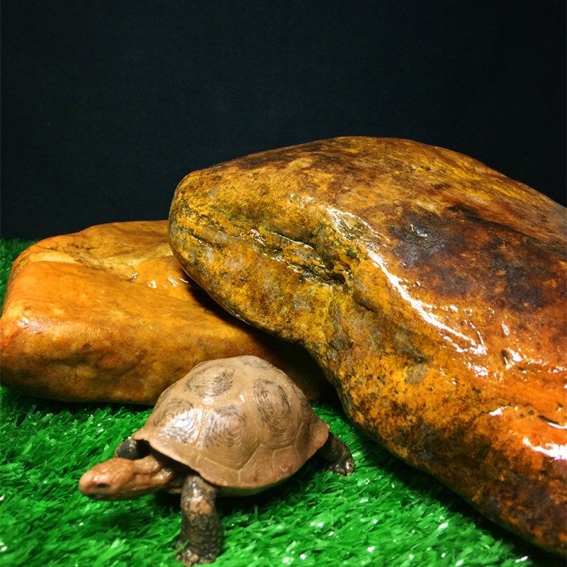 真石头晒台 乌龟攀爬石嬉戏趴台 养龟晒背石高水位专用沉底大石头,宠物/宠物食品及用品,爬宠躲避/造景,淘宝优惠券,粉丝福利购,淘宝优惠卷