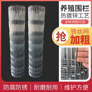 镀锌加粗铁丝网养羊养殖牛栏网栅栏围栏围墙网隔离网防护网安全网