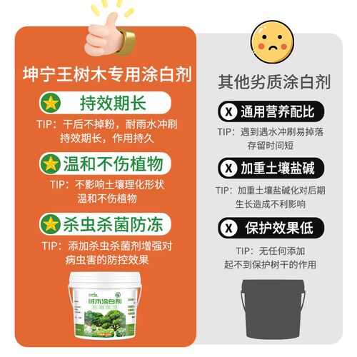 树木果树树干涂白剂防虫防冻大树石灰粉刷树白灰涂树越冬过冬保护