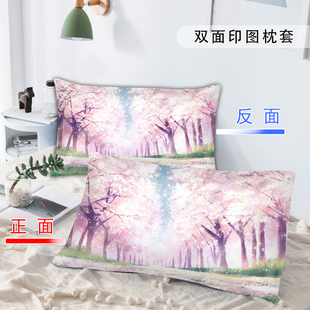 卡通动漫风景DIY枕套学生男女家用48cmx74cm磨毛单人单个枕头套子